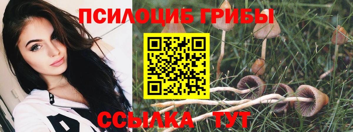 Ростов Великий  Галлюциногенные грибы Cubensis  Псилоцибиновые грибы прущие грибы  Вход с VPN 